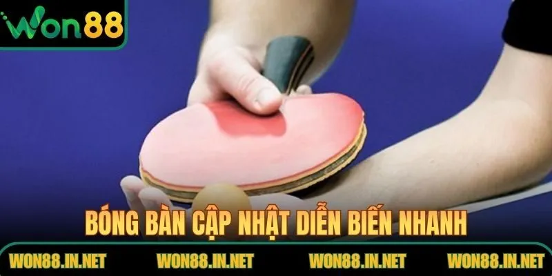 Bóng bàn tại thể thao WON88 cập nhật diễn biến nhanh rõ ràng