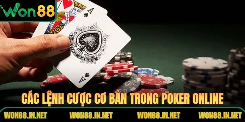 Poker Online - Quy Trình Vận Hành Ván Đấu Tại WON88 Các lệnh cược cơ bản trong Poker Online