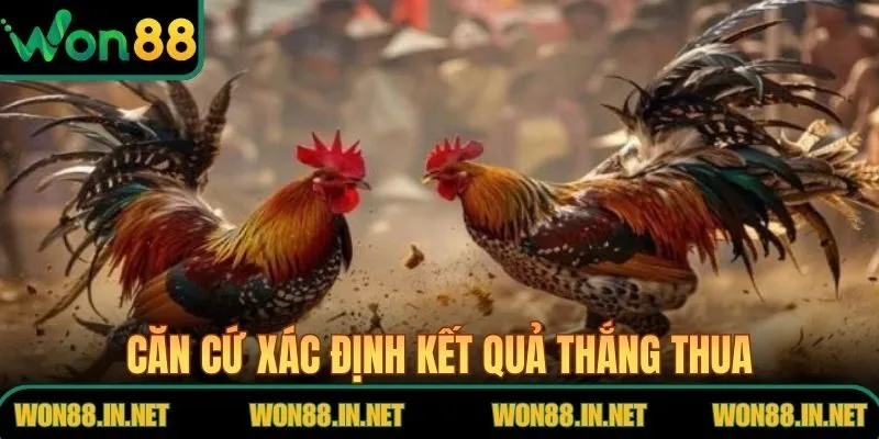 Căn cứ xác định kết quả thắng thua trong trận đá gà