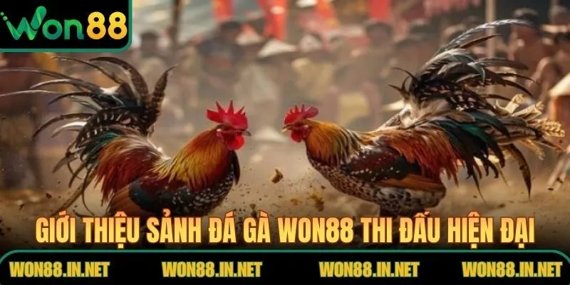 Giới thiệu sảnh đá gà WON88 thi đấu hiện đại