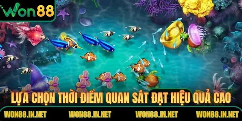 Lựa chọn thời điểm quan sát đạt hiệu quả cao