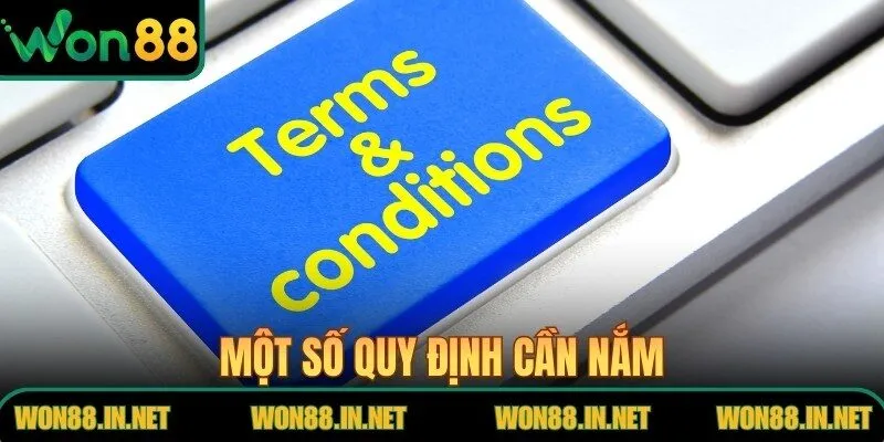 Điều Khoản Điều Kiện WON88 – Quy Định Tham Gia Hệ Thống Một số quy định cần nắm khi tham gia trải nghiệm tại nền tảng WON 88