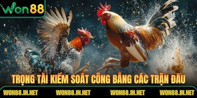 Trọng tài kiểm soát công bằng các trận đấu căng thẳng
